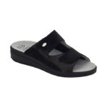 Scholl
