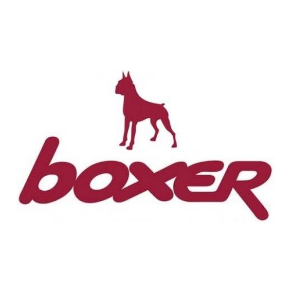 boxer